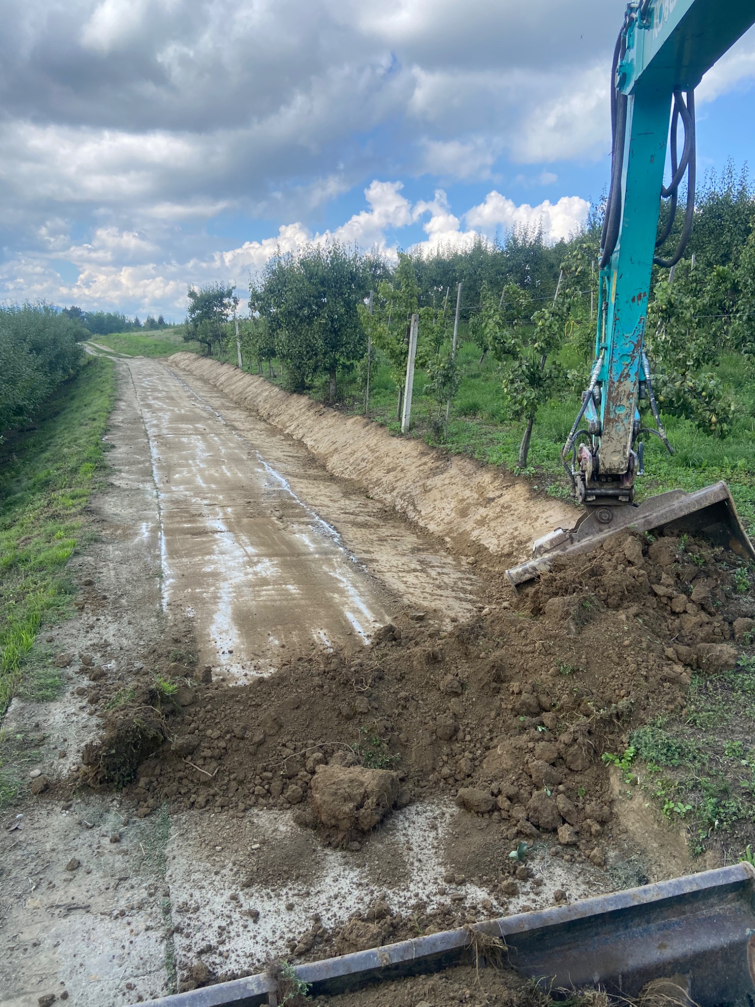 Turkusowa koparka nabiera ziemię z rowu w sadzie, przygotowując podłoże pod drogę, widoczne ślady białego wapna.