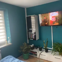 Turkusowa ściana w pokoju z telewizorem, na którym wyświetlany jest film, biała szafka wisząca, rośliny doniczkowe i grzejnik pod oknem.