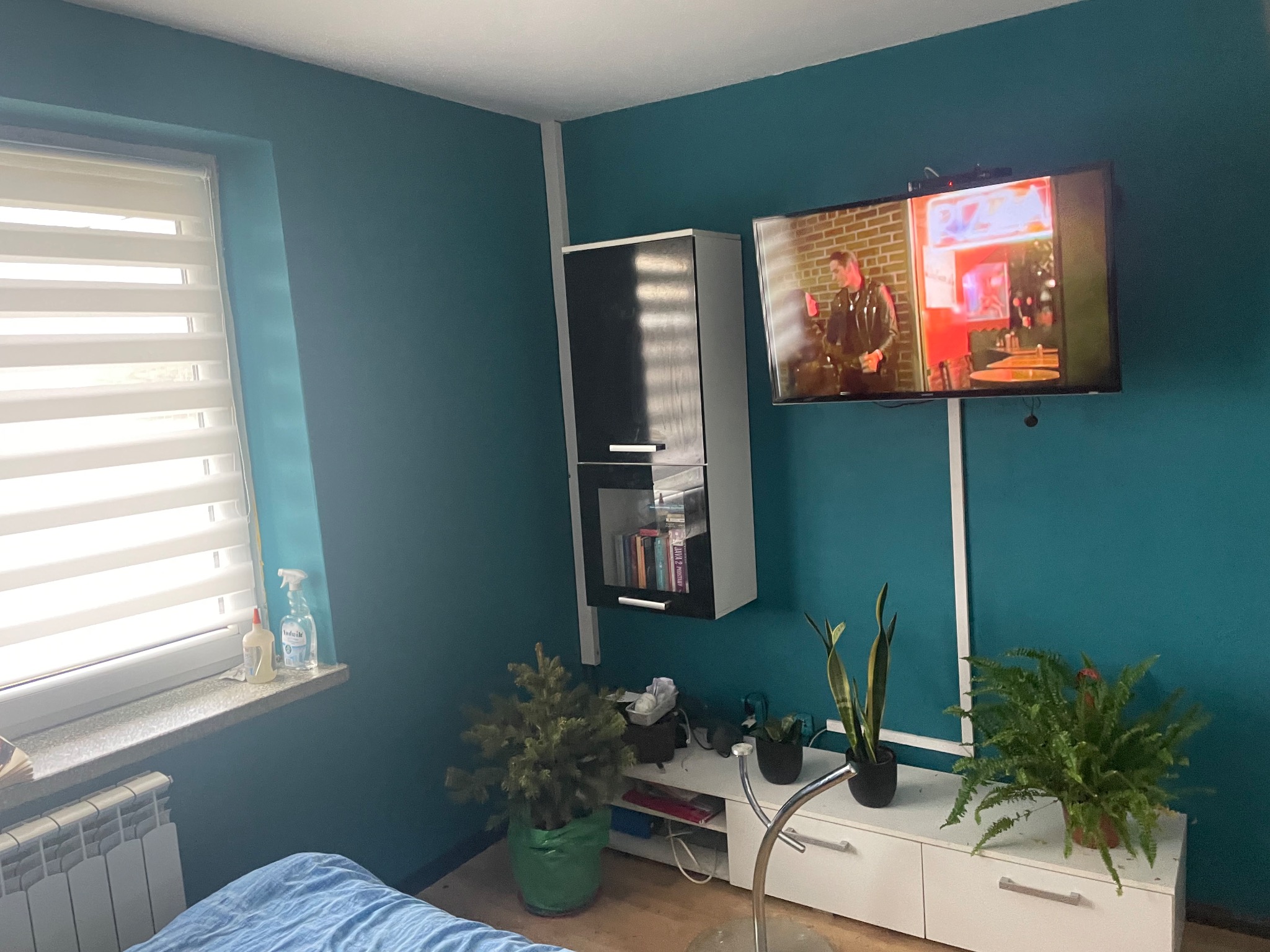 Turkusowa ściana w pokoju z telewizorem, na którym wyświetlany jest film, biała szafka wisząca, rośliny doniczkowe i grzejnik pod oknem.