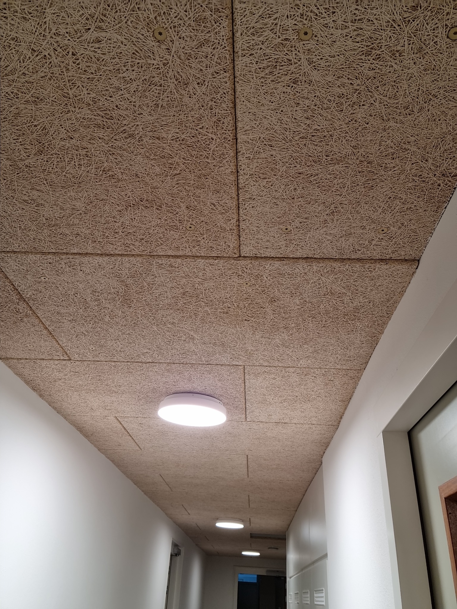 Sufit z paneli z włókna drzewnego zamontowany w korytarzu w Połomi, widoczne okrągłe lampy sufitowe.