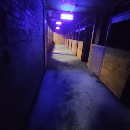 Usługi Elektryczne Radosław Dernałowicz - Długi korytarz z drewnianymi boksami oświetlony niebieskim światłem lamp fluorescencyjnych.