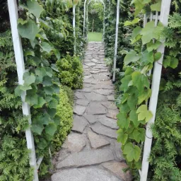 Ścieżka z luźno ułożonego kamienia