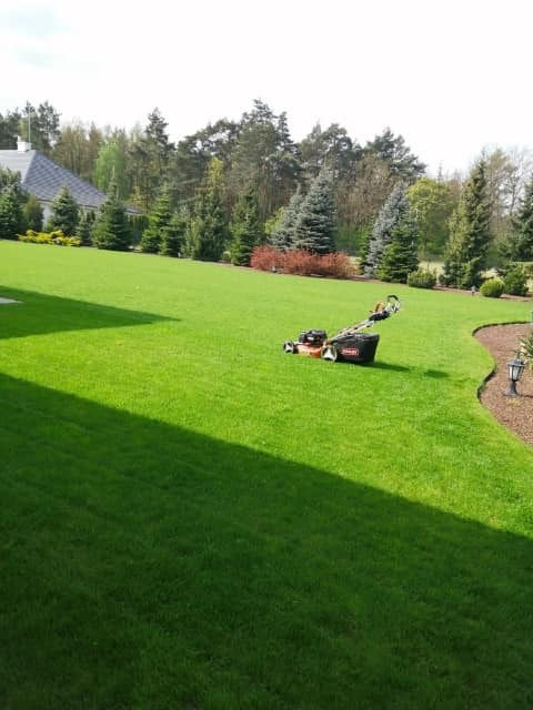 Kosiarka spalinowa na tle idealnie przystrzyżonego, intensywnie zielonego trawnika w dużym ogrodzie z drzewami iglastymi i lampą ogrodową przy krawędzi.