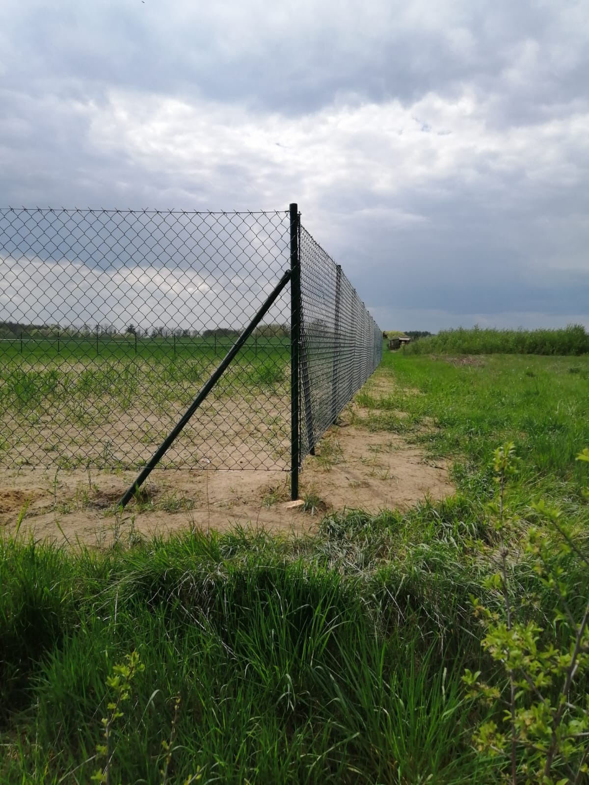 Długi, zielony płot z siatki, zabezpieczający teren, widoczny z perspektywy ziemi, z pochmurnym niebem w tle.