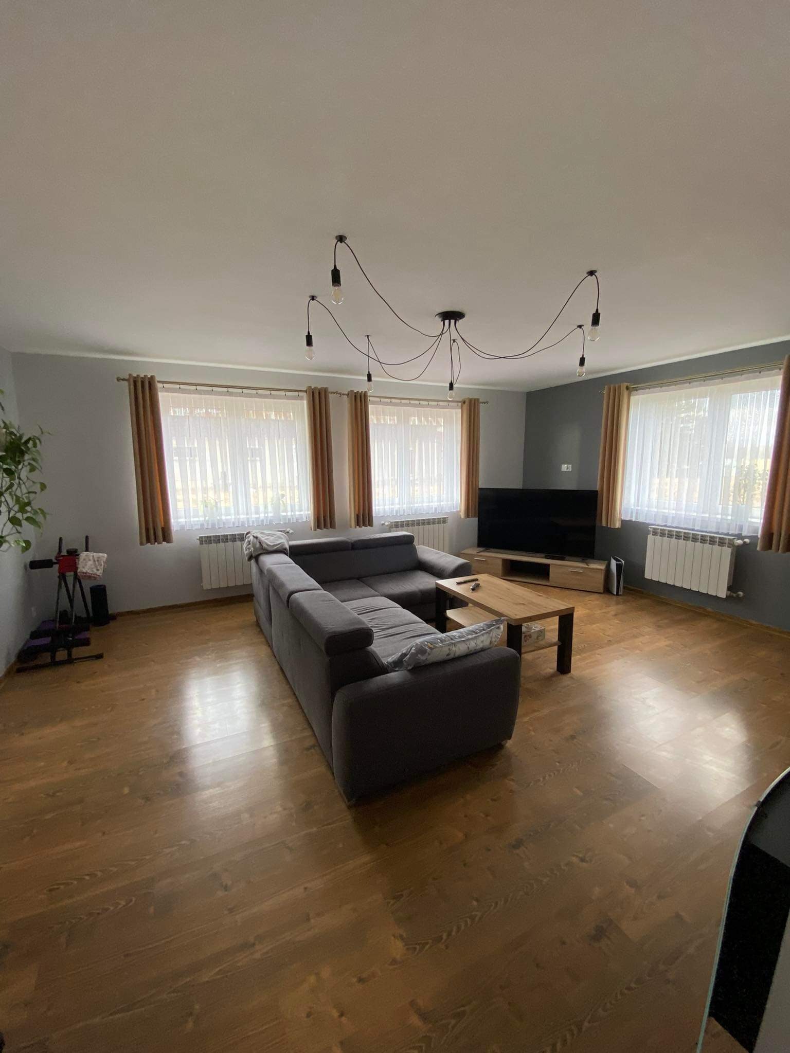 Jasne wnętrze salonu z drewnianą podłogą, szarą sofą narożną, telewizorem na komodzie i lampą sufitową z żarówkami na kablach.