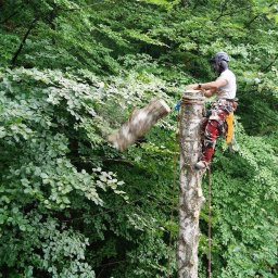 PIELĘGNACJA DRZEW JAKUB KARASZEWSKI - Prace działkowe Wolsztyn