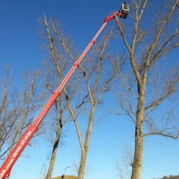PIELĘGNACJA DRZEW JAKUB KARASZEWSKI - Wycinka drzew z użyciem podnośnika koszowego; widoczny operator w koszu na wysięgniku, drzewa bez liści, na dole sprzęt budowlany i hałda ziemi.