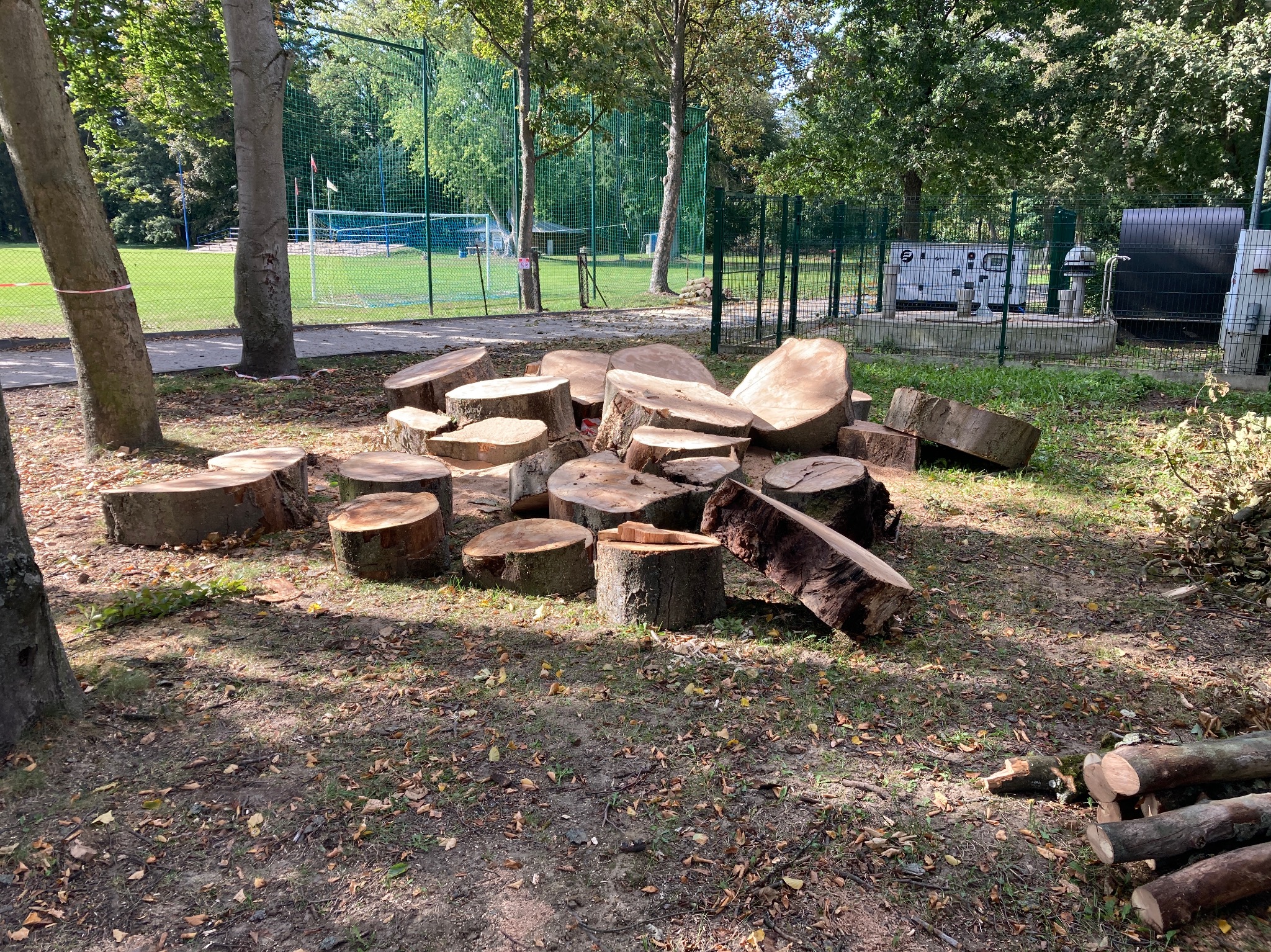 Stos pni i kłód po wycince drzew na terenie zielonym, widoczne boisko sportowe w tle.