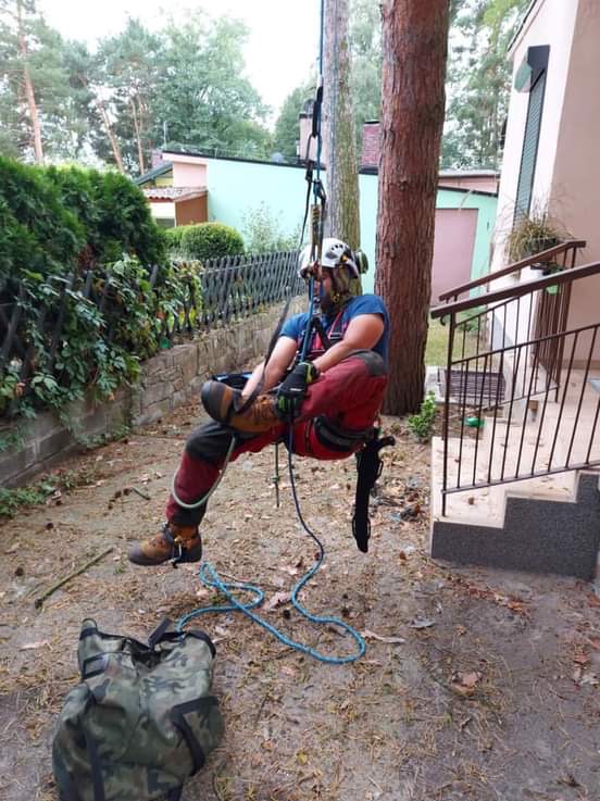 Arborysta w uprzęży, zawieszony na linie, w trakcie pracy na drzewie w ogrodzie, widoczny worek ze sprzętem na ziemi.