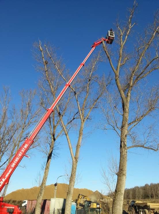 Wycinka drzew z użyciem podnośnika koszowego; widoczny operator w koszu na wysięgniku, drzewa bez liści, na dole sprzęt budowlany i hałda ziemi.