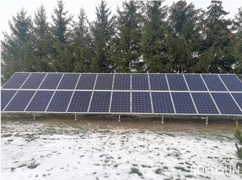 Długi rząd paneli słonecznych na metalowych wspornikach, ustawiony na ziemi pokrytej resztkami śniegu, z rzędem wysokich drzew iglastych w tle.