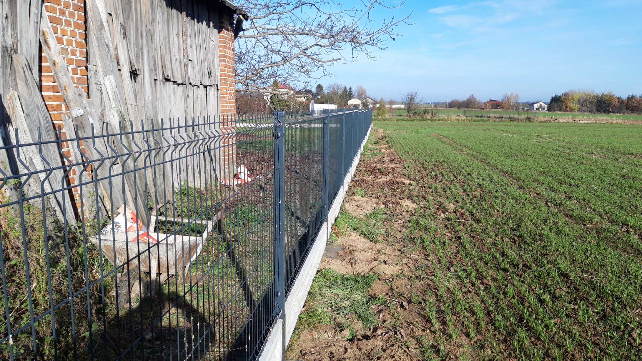 Nowoczesne, grafitowe ogrodzenie panelowe z podmurówką w Dąbrowie, oddzielające posesję od pola uprawnego, widoczne zardzewiałe taczki przy budynku gospodarczym.