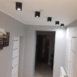 Nowoczesny przedpokój w odcieniach szarości z białymi drzwiami i czarnymi, kwadratowymi lampami sufitowymi, na ścianie obraz z motywem samochodu.