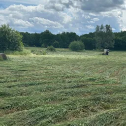 Traktor na polu podczas koszenia trawy, widoczne rzędy skoszonej trawy, drzewa w tle i pochmurne niebo.