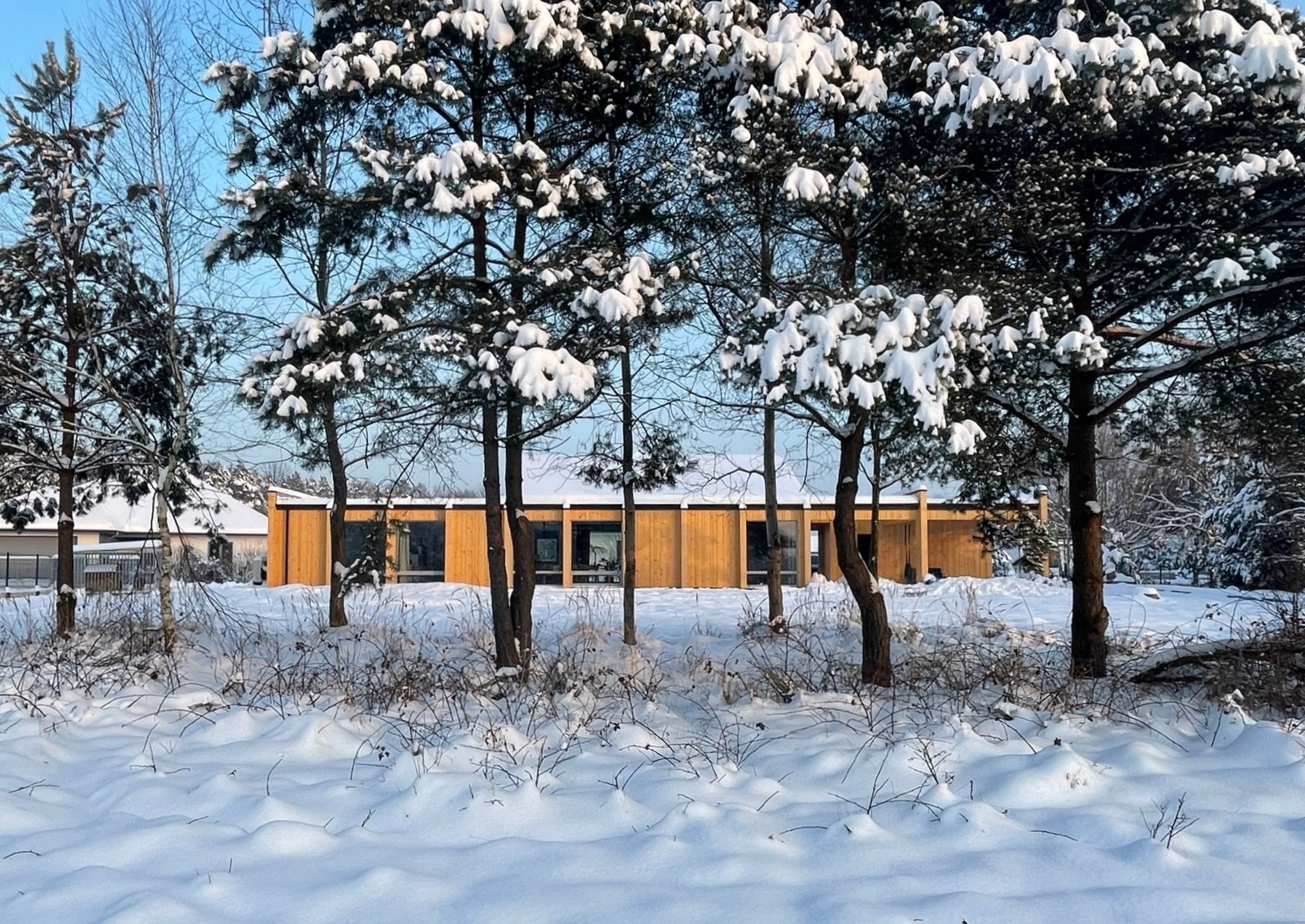 Nowoczesny dom jednorodzinny z drewnianą elewacją, częściowo zasłonięty przez ośnieżone drzewa iglaste w zimowej scenerii.