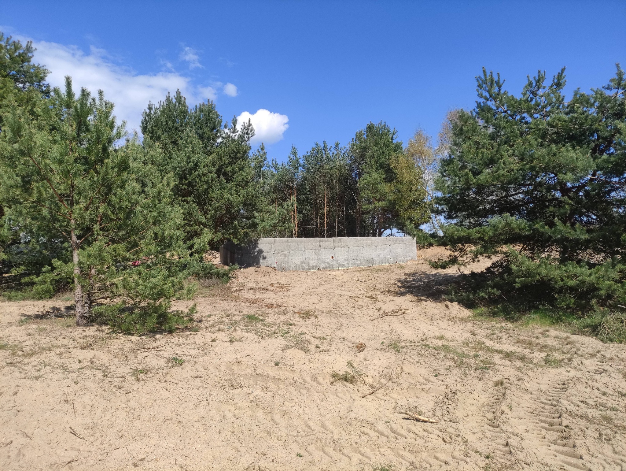 Surowy, betonowy fundament pod budynek jednorodzinny we Wrocławiu, widoczny na piaszczystym terenie w otoczeniu sosen i błękitnego nieba.