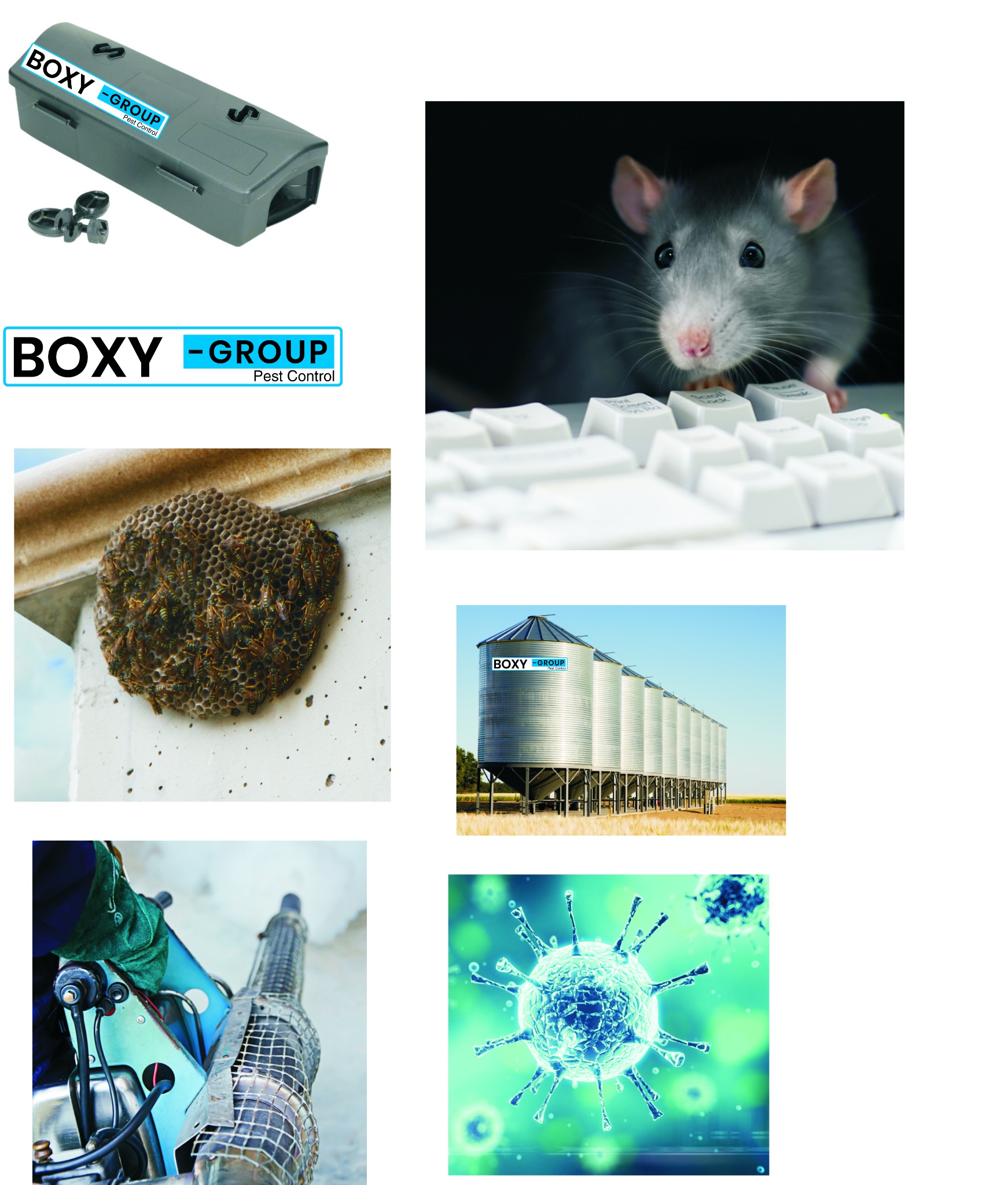 Zestaw zdjęć: pułapka na gryzonie z przynętą, szczur przy klawiaturze, gniazdo os na ścianie, silosy zbożowe z logo firmy, zamgławiacz termiczny w akcji, wizualizacja wirusa.