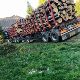 Ciężarówka załadowana okrąglakami drewna, zaparkowana na trawiastym terenie obok budynku z czerwonym dachem, w tle stosy gałęzi.
