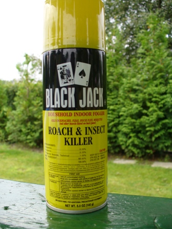 Puszka aerozolu Black Jack, przeznaczona do zwalczania owadów wewnątrz pomieszczeń, umieszczona na zielonym tle z widocznymi drzewami.