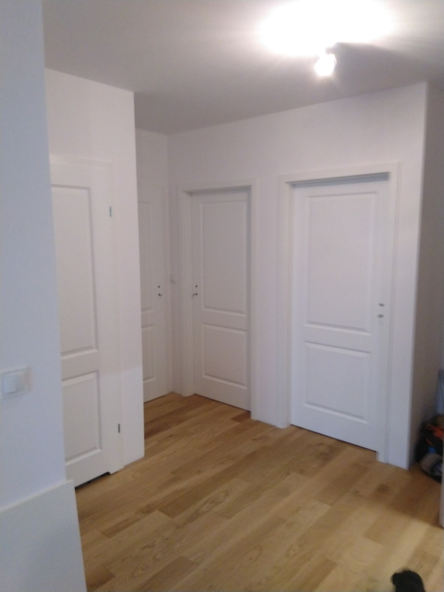 Jasne, nowocześnie wykończone wnętrze z drewnianą podłogą, białymi ścianami i trzema białymi, panelowymi drzwiami w minimalistycznym stylu.