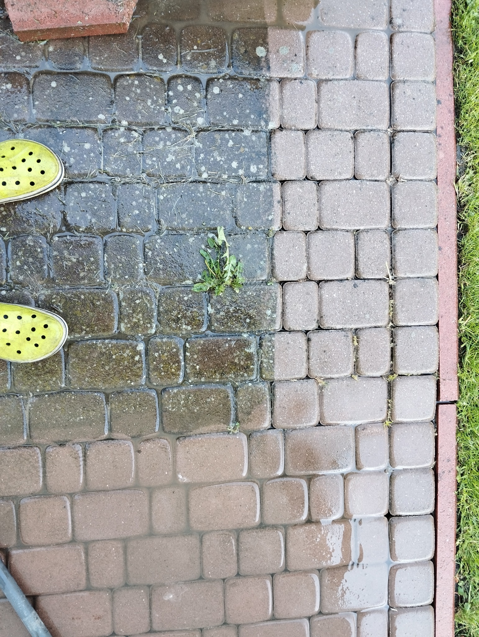 Częściowo wyczyszczona kostka brukowa z widoczną różnicą w zabrudzeniu, żółte chodaki w lewym górnym rogu i trawa wzdłuż krawędzi po prawej stronie.