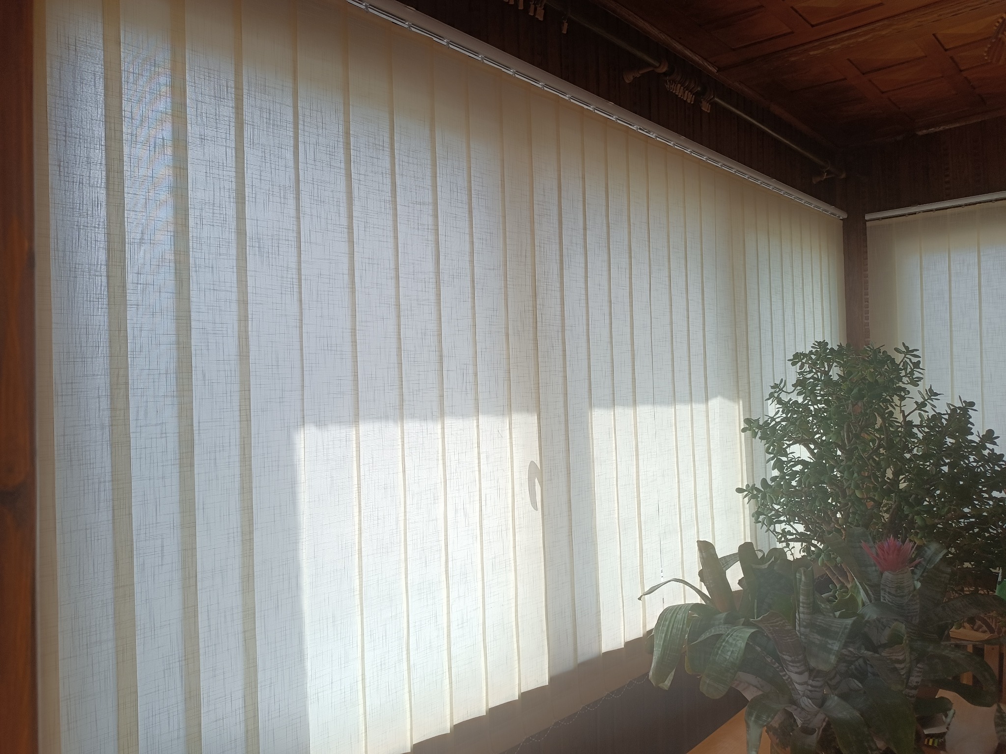 Jasne, pionowe żaluzje z delikatną teksturą, częściowo zasłaniające okno. W tle widoczny fragment rośliny doniczkowej i drewniany sufit.