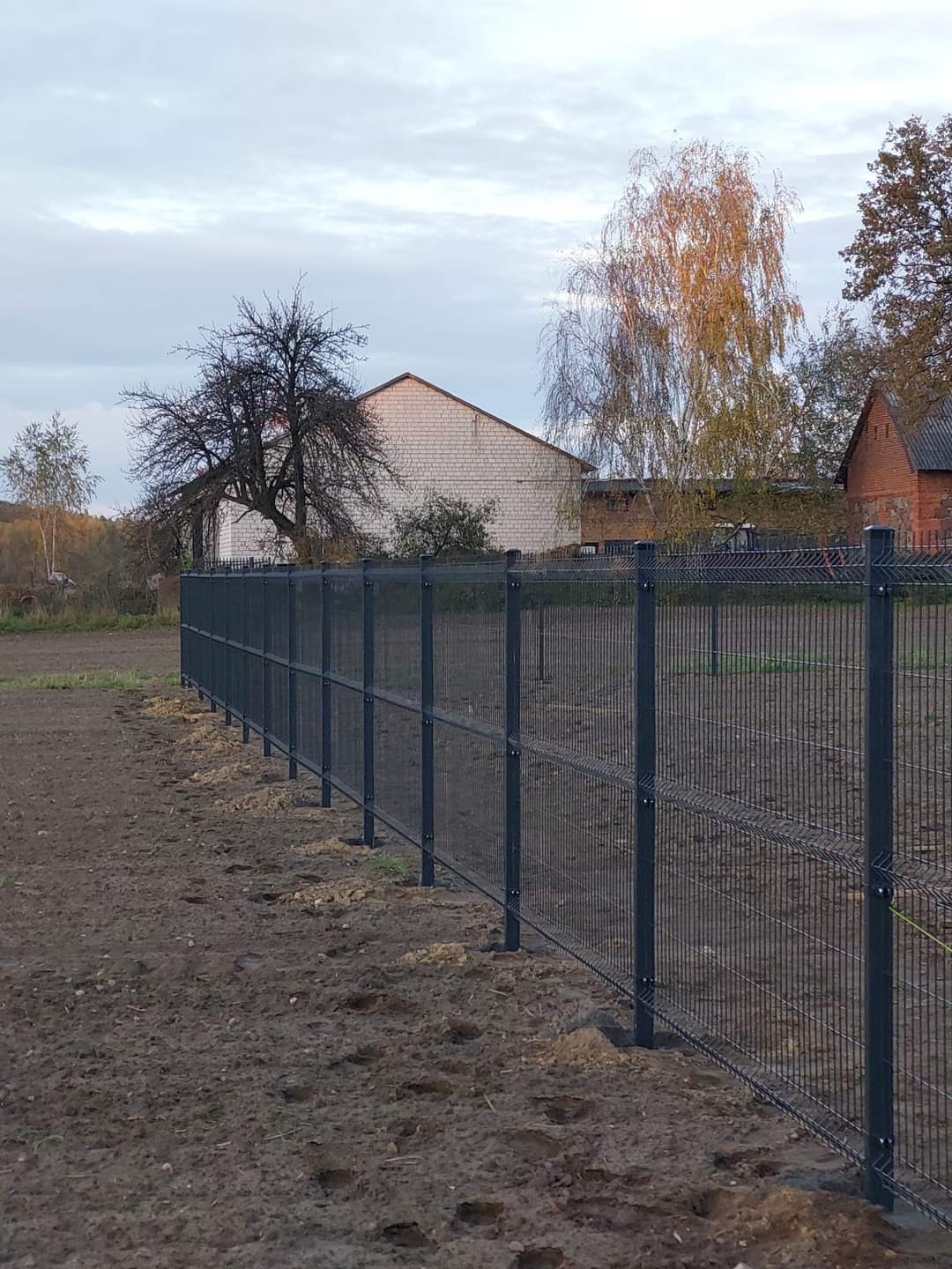 Nowo zamontowane, ciemnoszare ogrodzenie panelowe na granicy działki z widocznym budynkiem gospodarczym w tle, wykonane w pochmurny dzień.