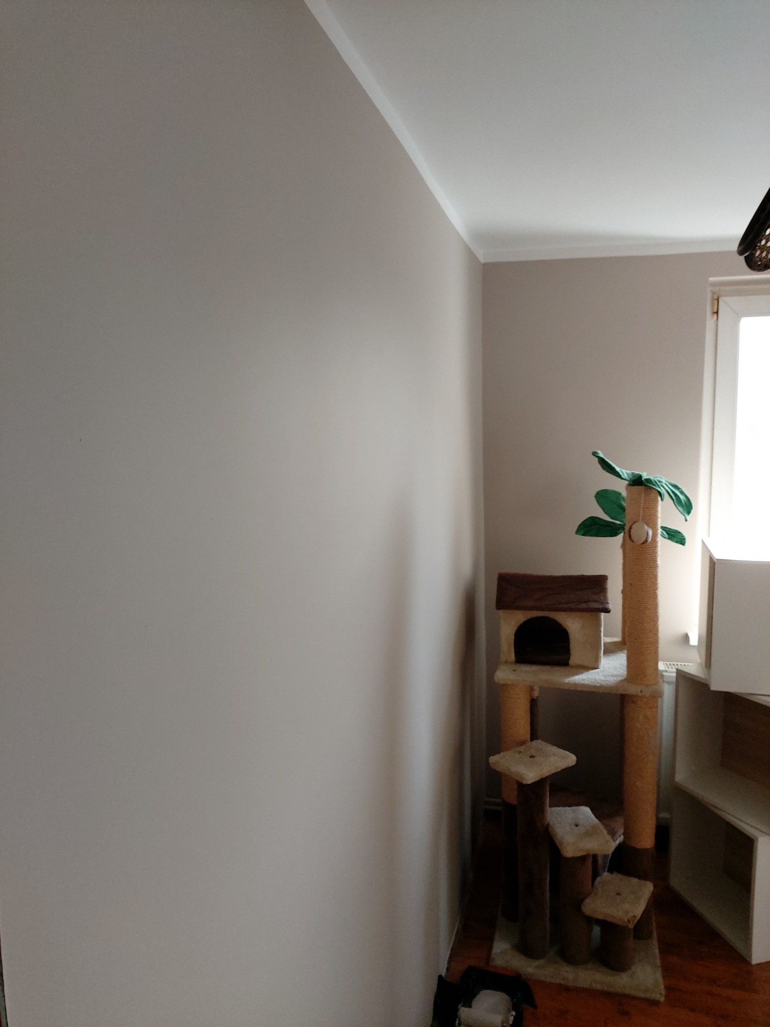 Ściana w kolorze beżowym z delikatnym połyskiem, widoczna listwa przysufitowa i drapak dla kota w kształcie drzewka w rogu pokoju.