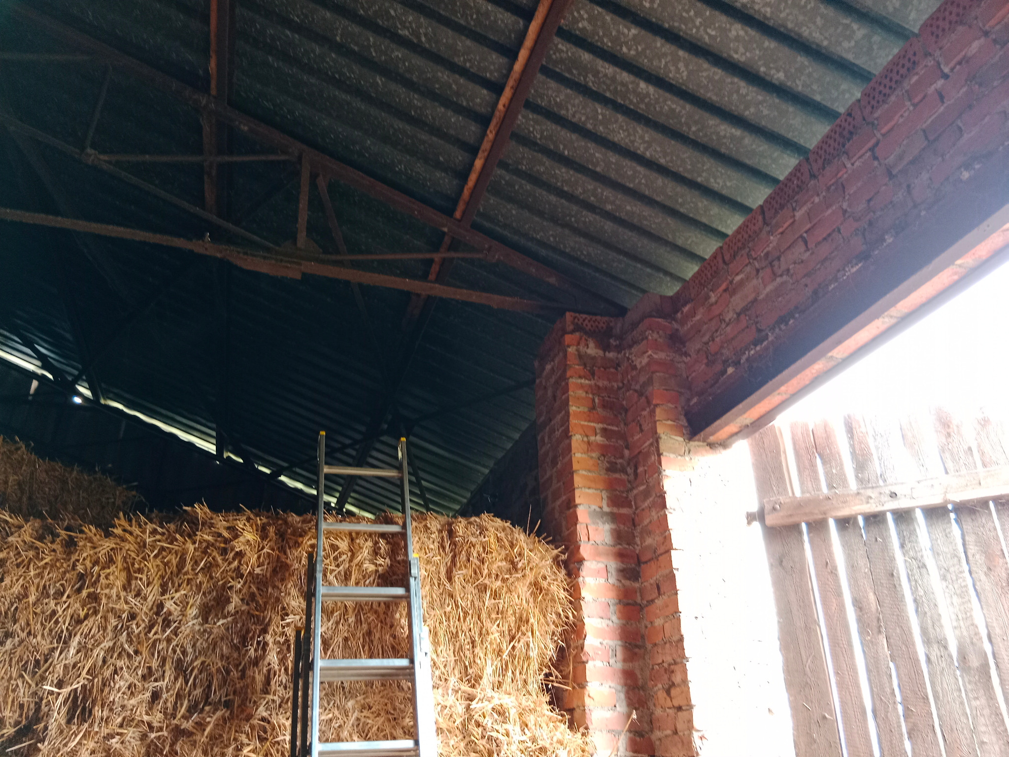 Wnętrze stodoły z belami siana, oparta o nie aluminiowa drabina, widoczna ceglana ściana i metalowy dach.