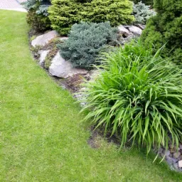 Kaskadowy ogród z różnorodnymi iglakami, bylinami i kamieniami, z trawnikiem z przodu, w słoneczny dzień.