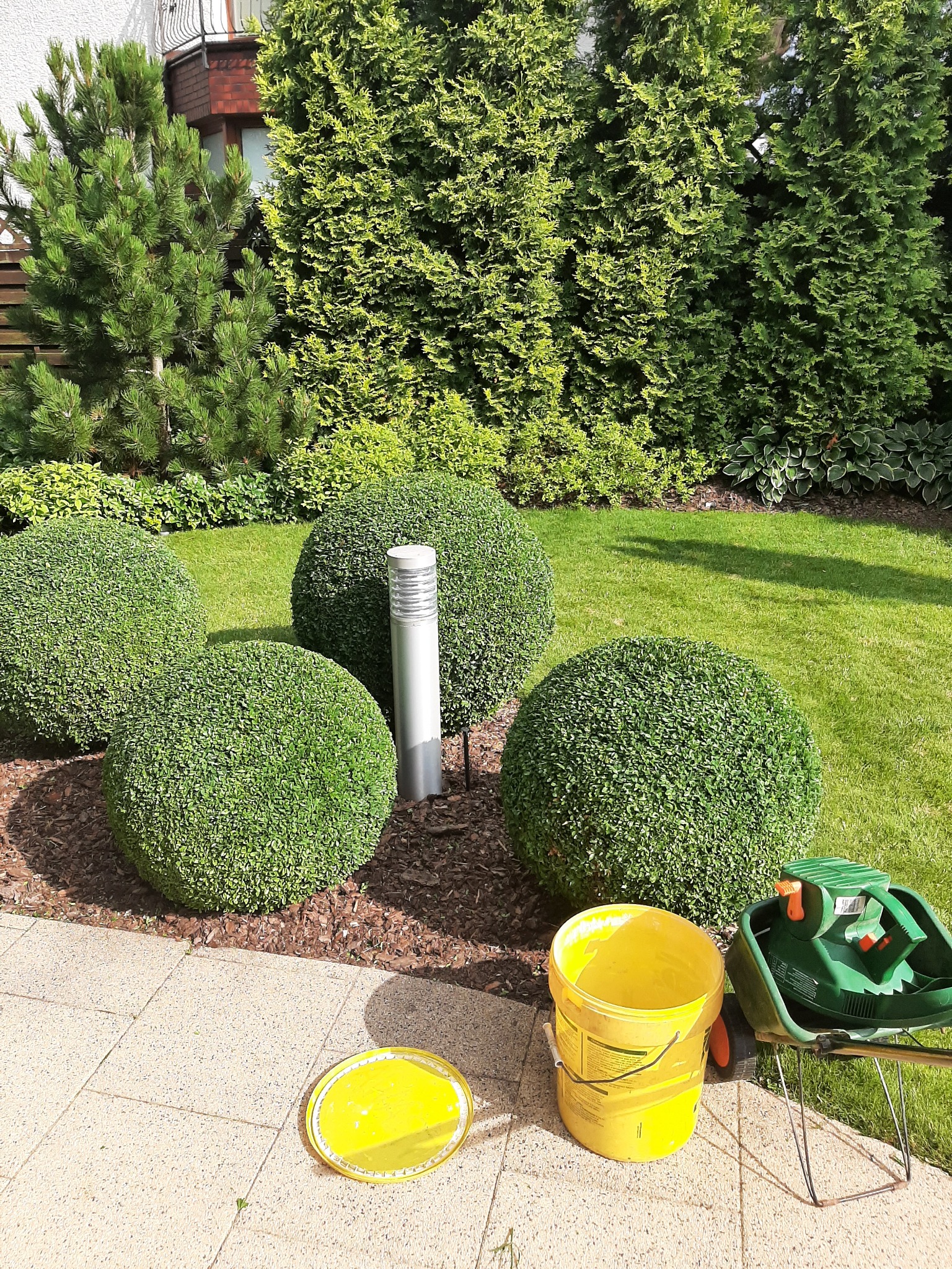 Ogród z równo przystrzyżonym trawnikiem, kulistymi krzewami bukszpanu, nowoczesną lampą ogrodową i narzędziami do nawożenia trawy: żółtym wiadrem i zielonym siewnikiem nawozu.