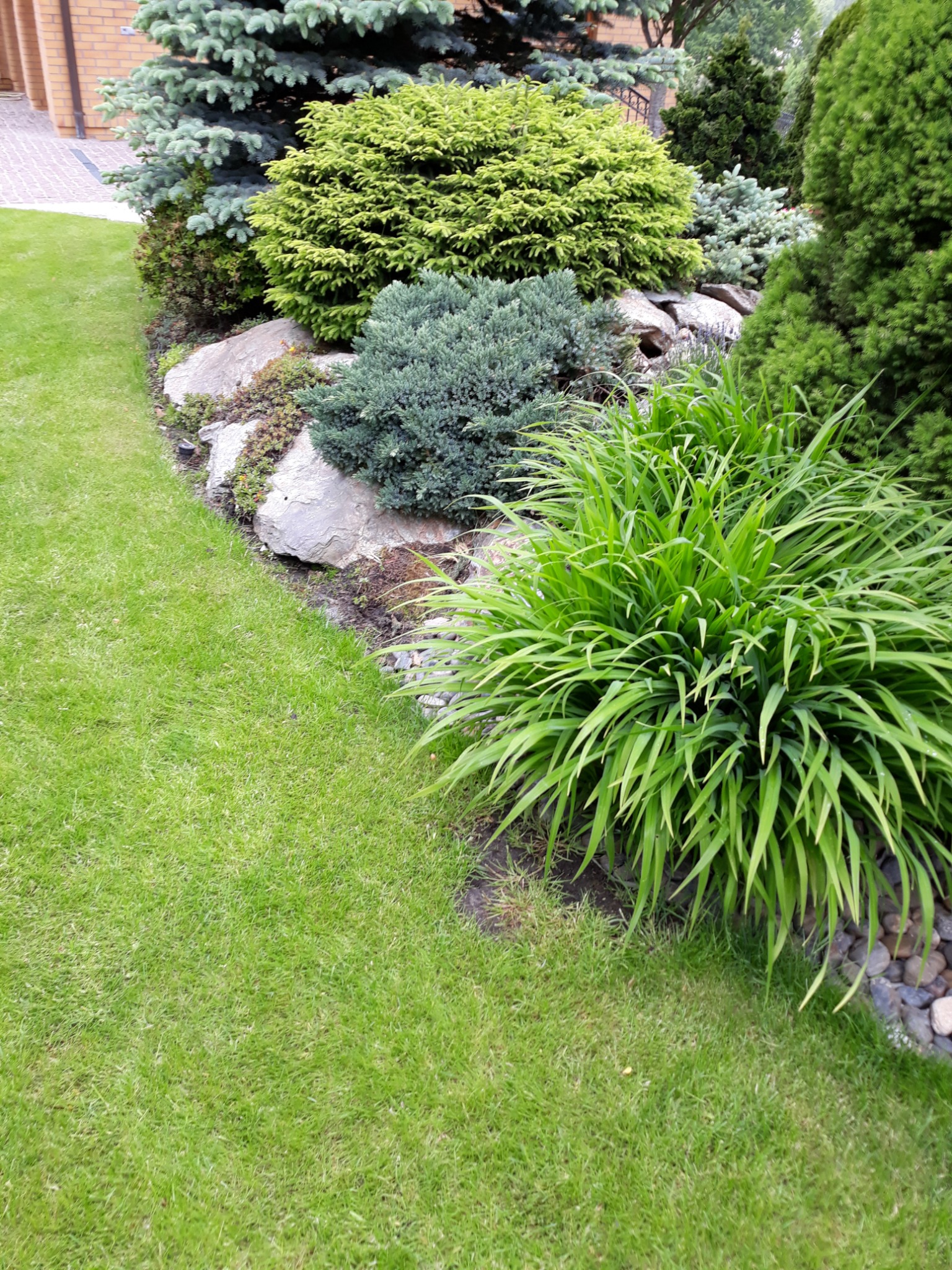 Kaskadowy ogród z różnorodnymi iglakami, bylinami i kamieniami, z trawnikiem z przodu, w słoneczny dzień.