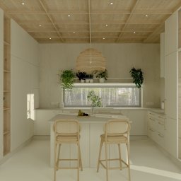 ARSprojekt Anna Sierpińska - Jasna kuchnia z wyspą i drewnianymi hokerami. Nad wyspą wisi pleciona lampa. Za oknem widok na las. Minimalistyczny design z roślinami.