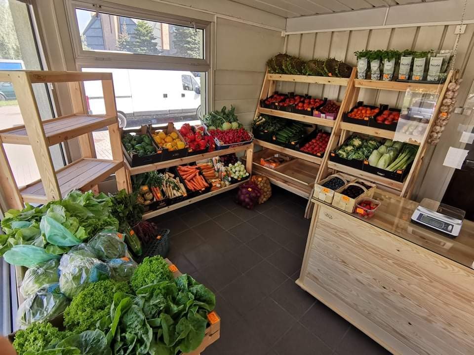 Wnętrze sklepu warzywnego z drewnianymi regałami, na których ułożone są świeże warzywa i zioła, widoczne skrzynki z sałatą i waga na ladzie.