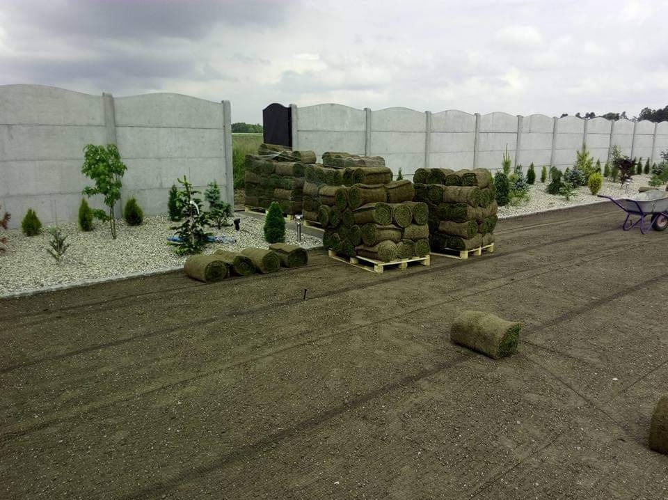 Układanie trawy z rolki.