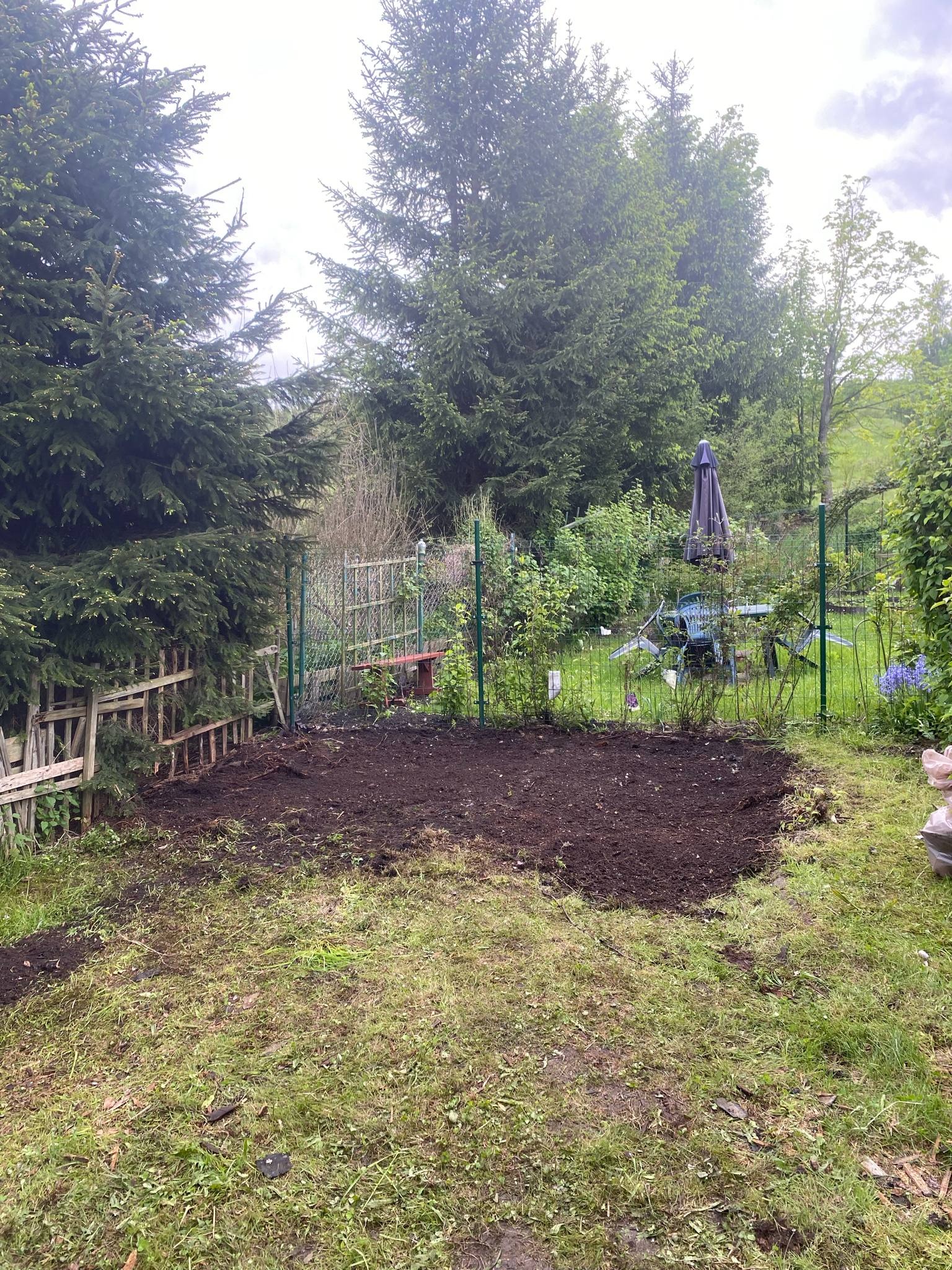 Ogród po rozbiórce budynku gospodarczego.