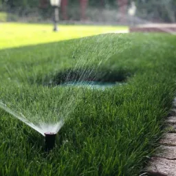 Automatyczny zraszacz nawadnia równomiernie zielony trawnik, widoczna kamienna ścieżka obok.