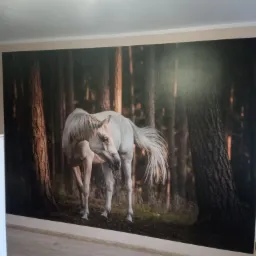 Fototapeta z motywem białego konia w lesie, naklejona na ścianie w pokoju.