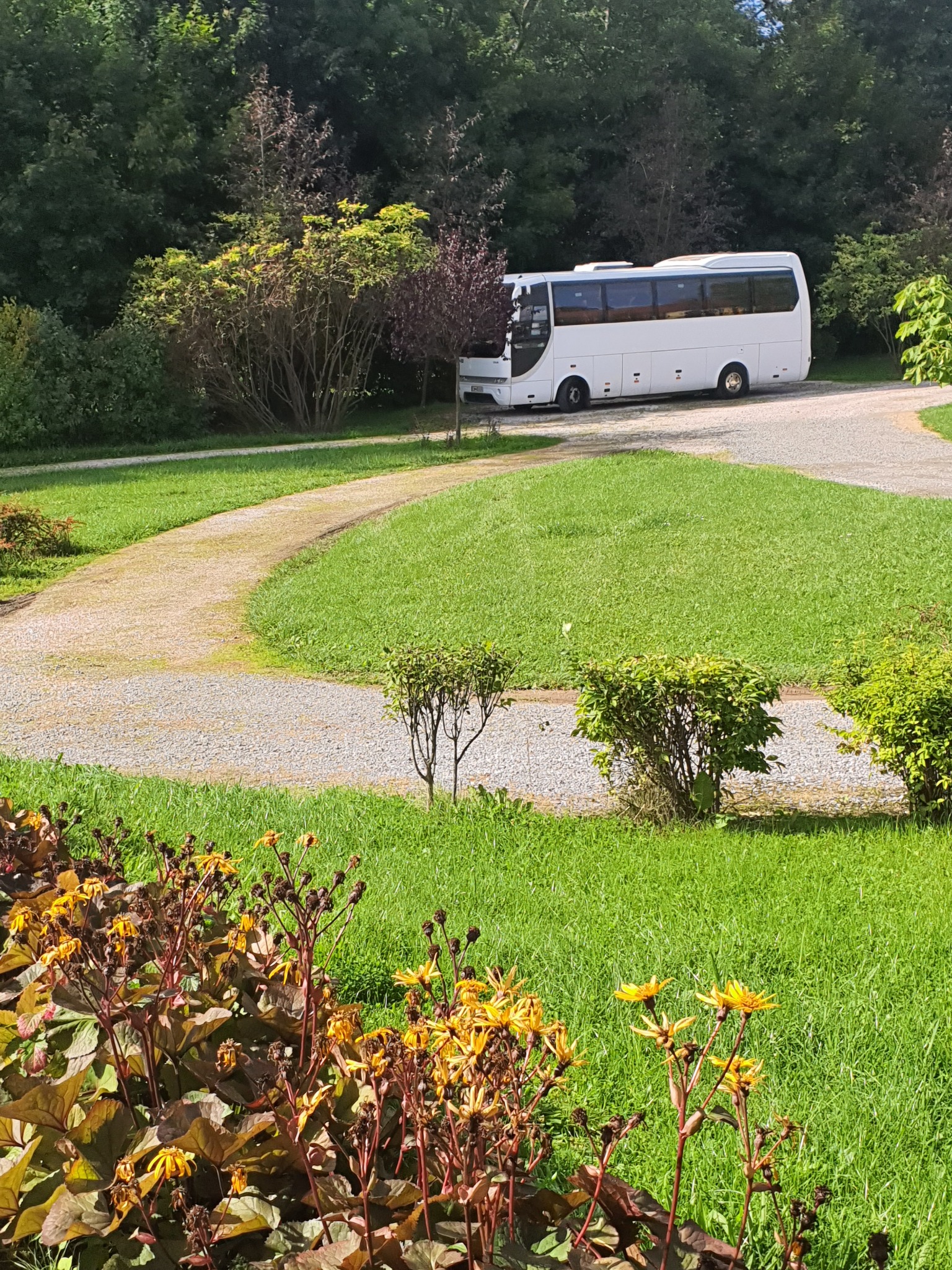 autobus 31miejsc + 1