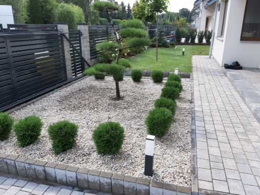 Ogród z ozdobnym drzewkiem bonsai na tle białych kamyków, obrzeże z kostki, rząd kulistych krzewów, nowoczesne oświetlenie ogrodowe i metalowe ogrodzenie.