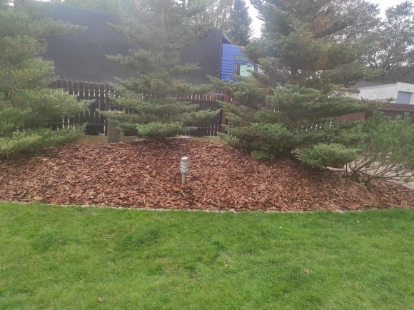 Obsadzony korą rabat z niskimi iglakami i lampką solarną, widok na trawnik i ogrodzenie posesji.