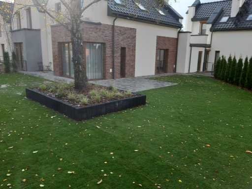 Nowoczesny ogród przydomowy z równo przystrzyżonym trawnikiem, podwyższoną rabatą z drzewem i niskimi roślinami oraz ścieżką z kostki brukowej, otoczony budynkami o minimalistycznej architekturze.