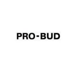 Pro-bud - Firma Remontowa Skierniewice