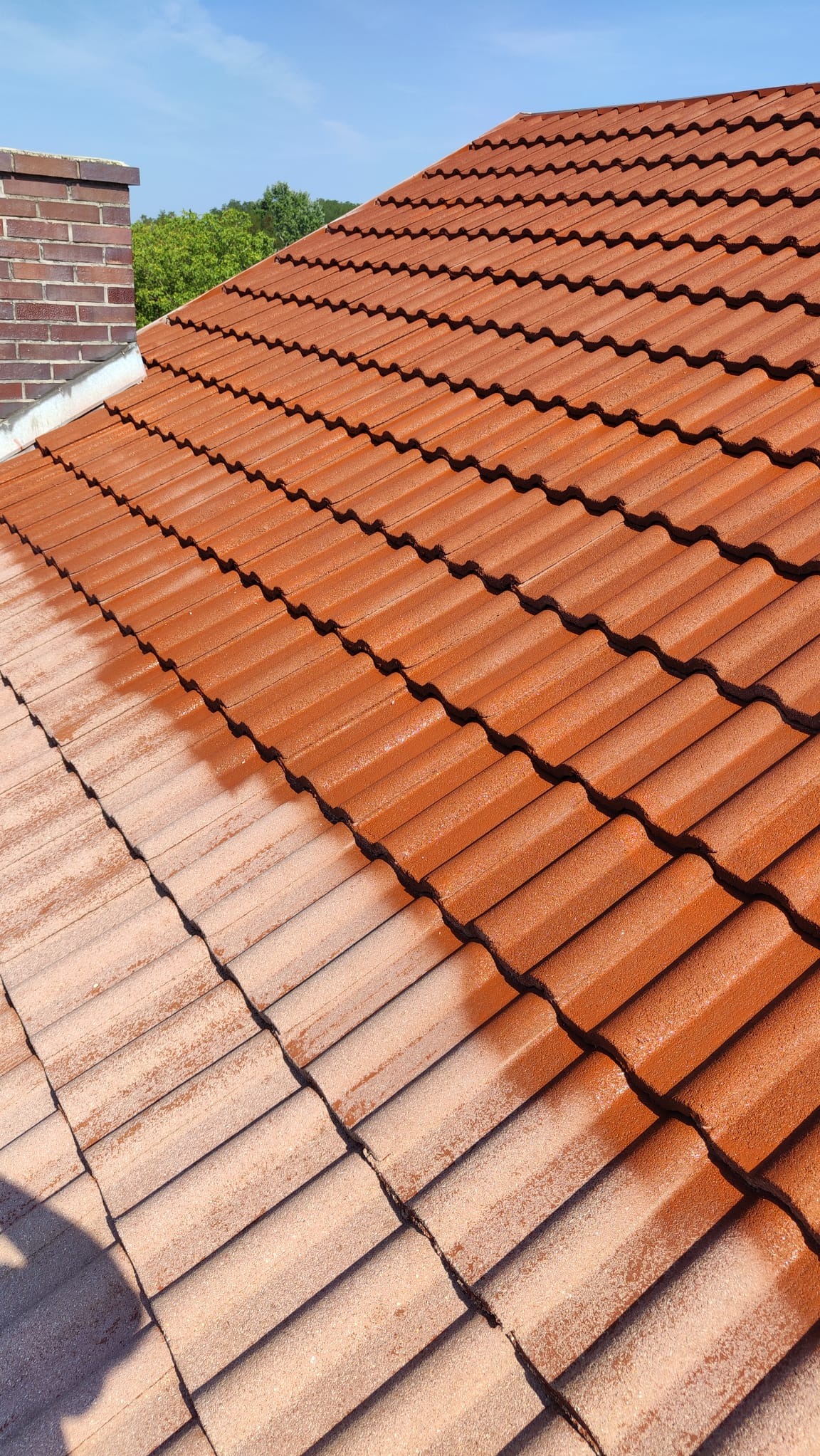 Częściowo odnowiony dach z ceglastą dachówką, widoczny komin i zieleń w tle. Połowa dachu po renowacji, druga połowa w stanie pierwotnym.