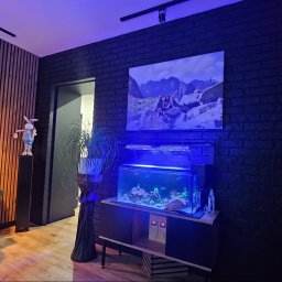 R-KWADRAT Mateusz Ryszka - Perfekcyjny Glazurnik Wodzisław Śląski