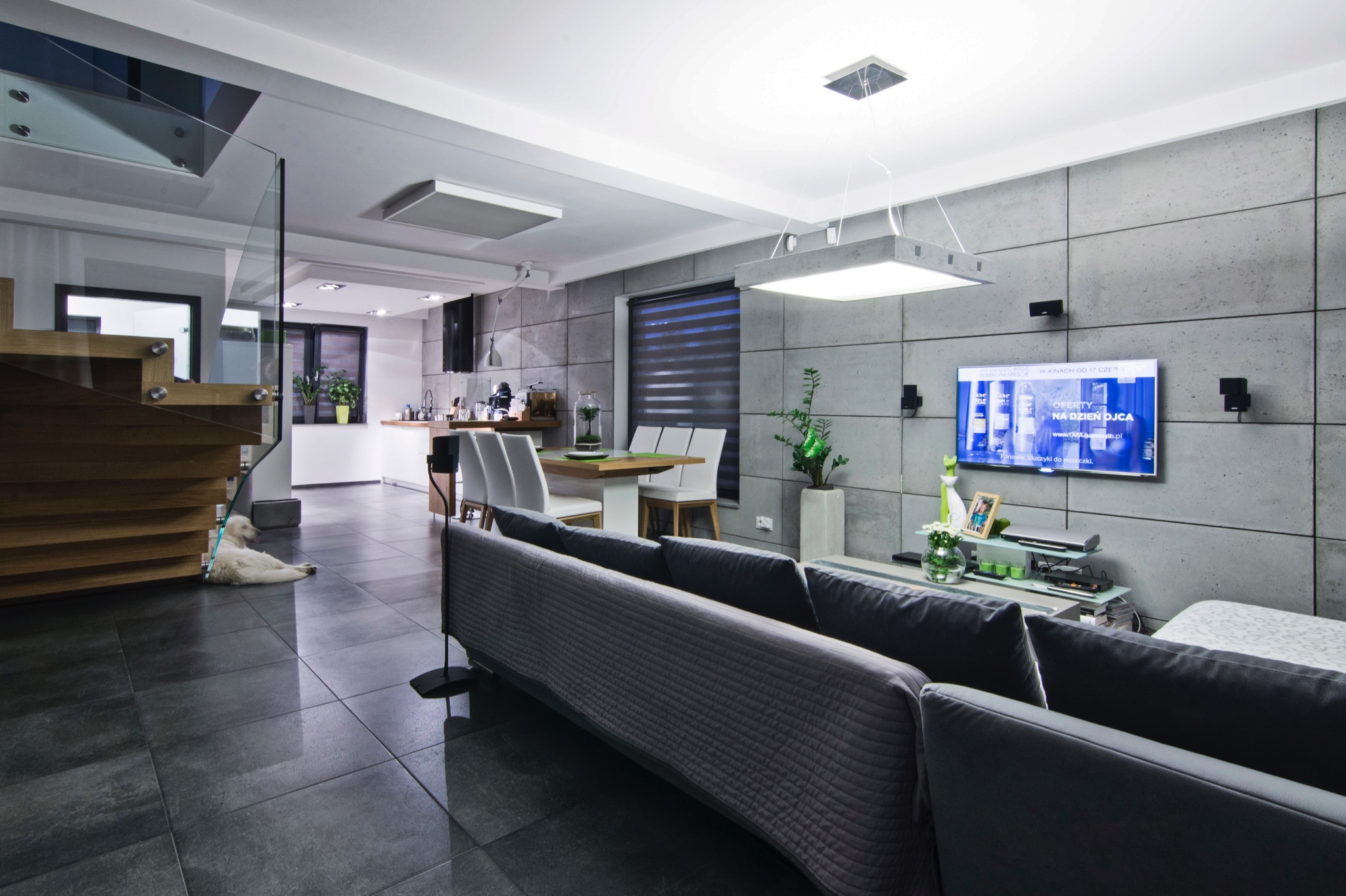Nowoczesny salon z szarą sofą, betonową ścianą, drewnianymi schodami z szklaną balustradą, stołem jadalnym i białymi krzesłami oraz psem leżącym na podłodze.