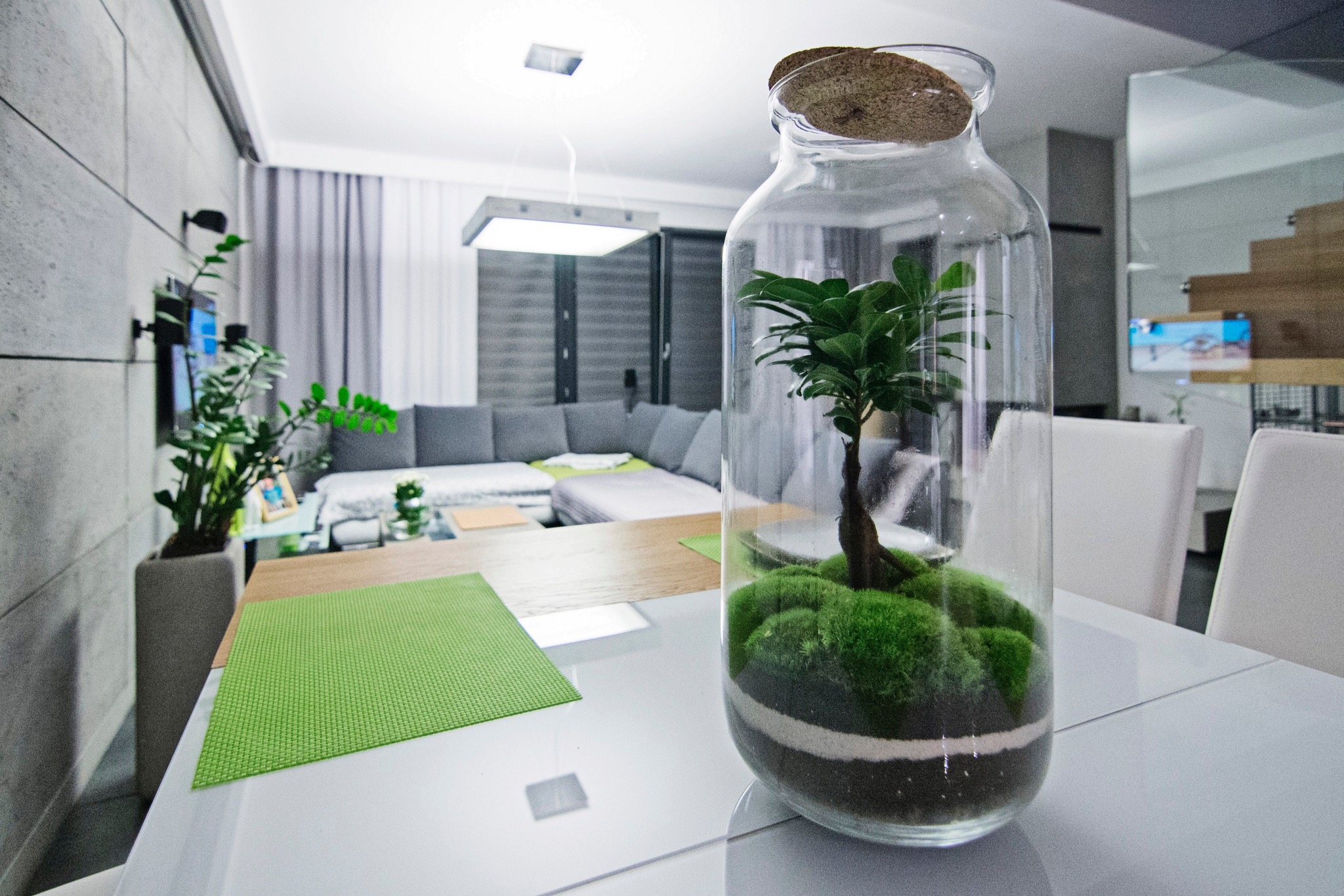 Szklany słój z miniaturowym drzewkiem i mchem na białym stole w nowoczesnym salonie, w tle szara sofa narożna i telewizor na ścianie z betonowych płyt.
