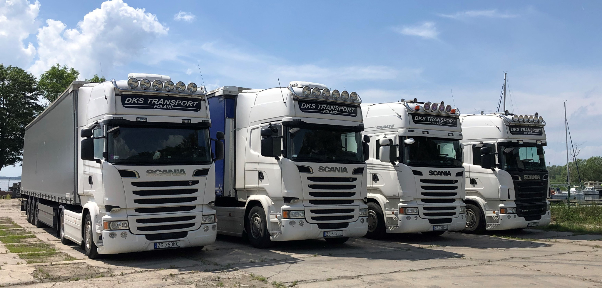 Flota białych ciężarówek marki Scania z logo DKS Transport Poland ustawiona rzędem na betonowym placu w słoneczny dzień, w tle widoczne drzewa i maszty jachtów.
