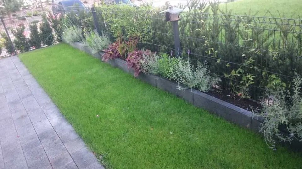 Zakładanie trawnika, donica do kwiatów