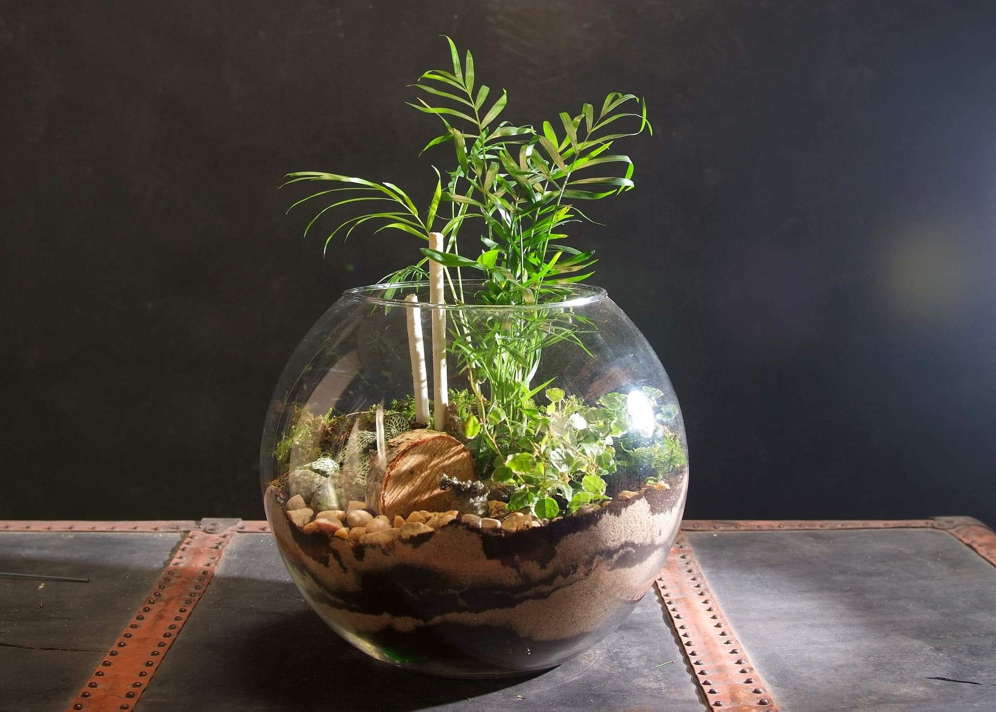 Szklana kula z warstwami piasku, kamieniami i miniaturowymi roślinami, imitująca ekosystem, na tle ciemnej ściany i metalowej skrzyni.